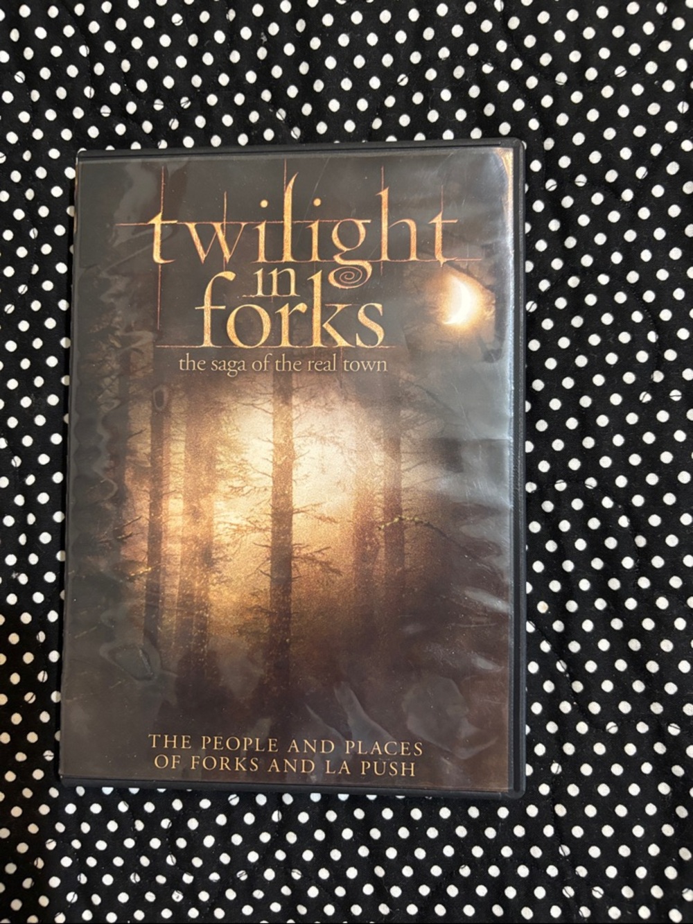 Twilight in Forks DVD — Brown/Gold Forest Cover